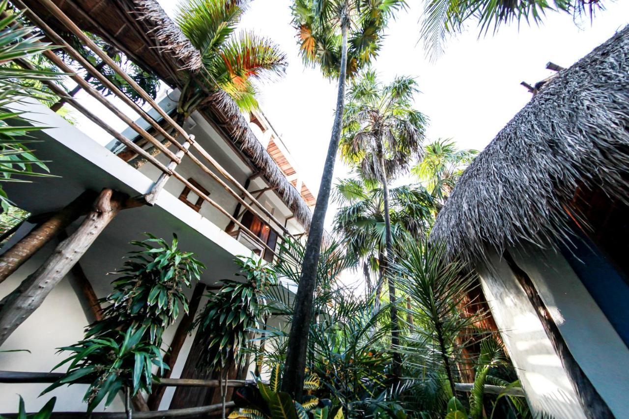 Superior Kamer met Kingsize Bed en Terras - Uitzicht over de Jungle en Daken
