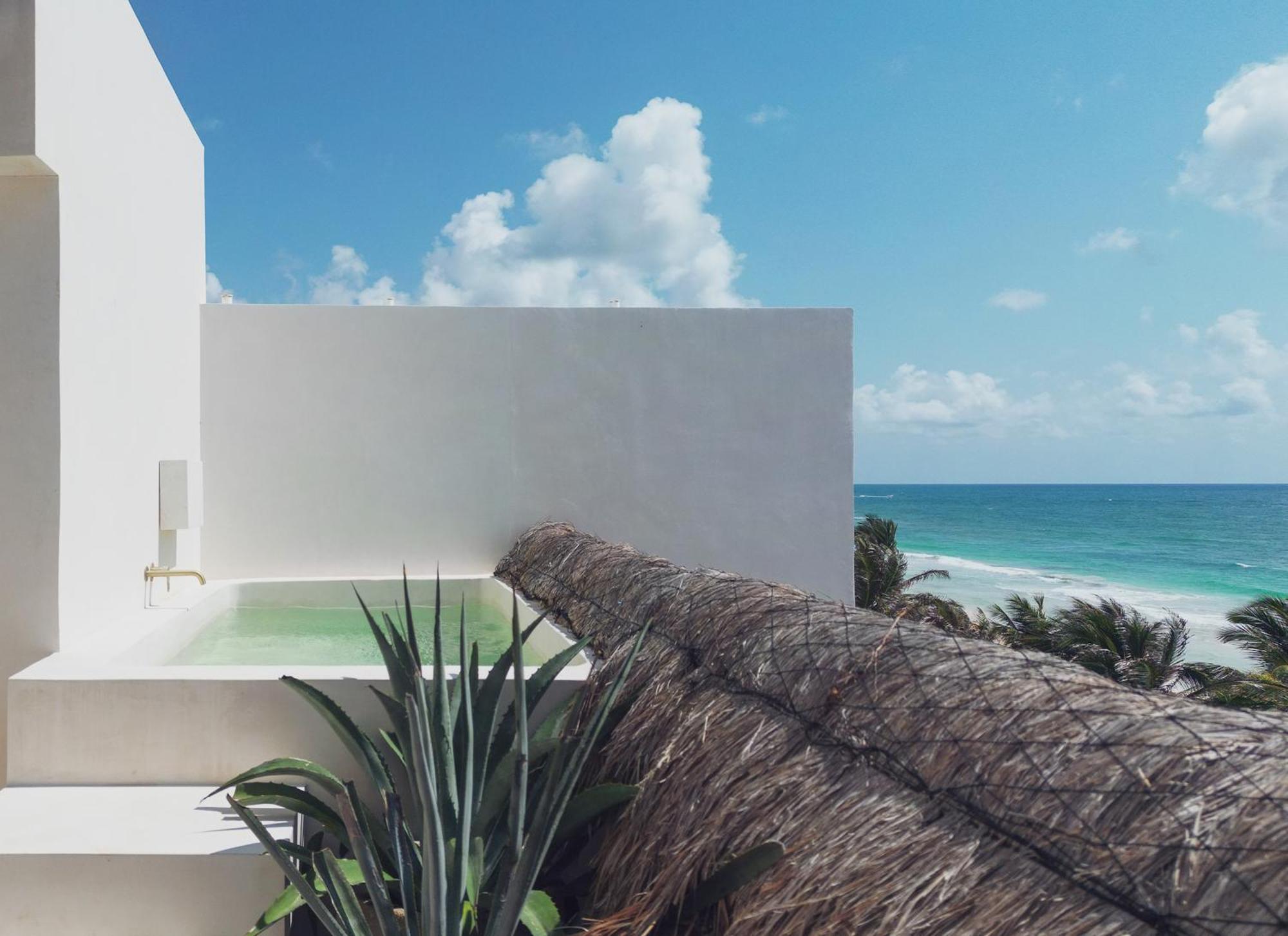 Suite Oceanfront