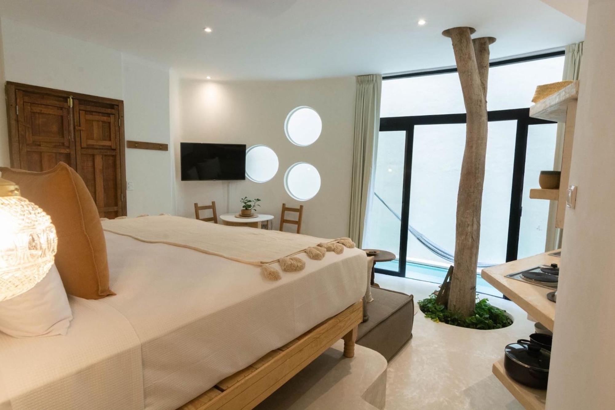 Appartement 1 Chambre