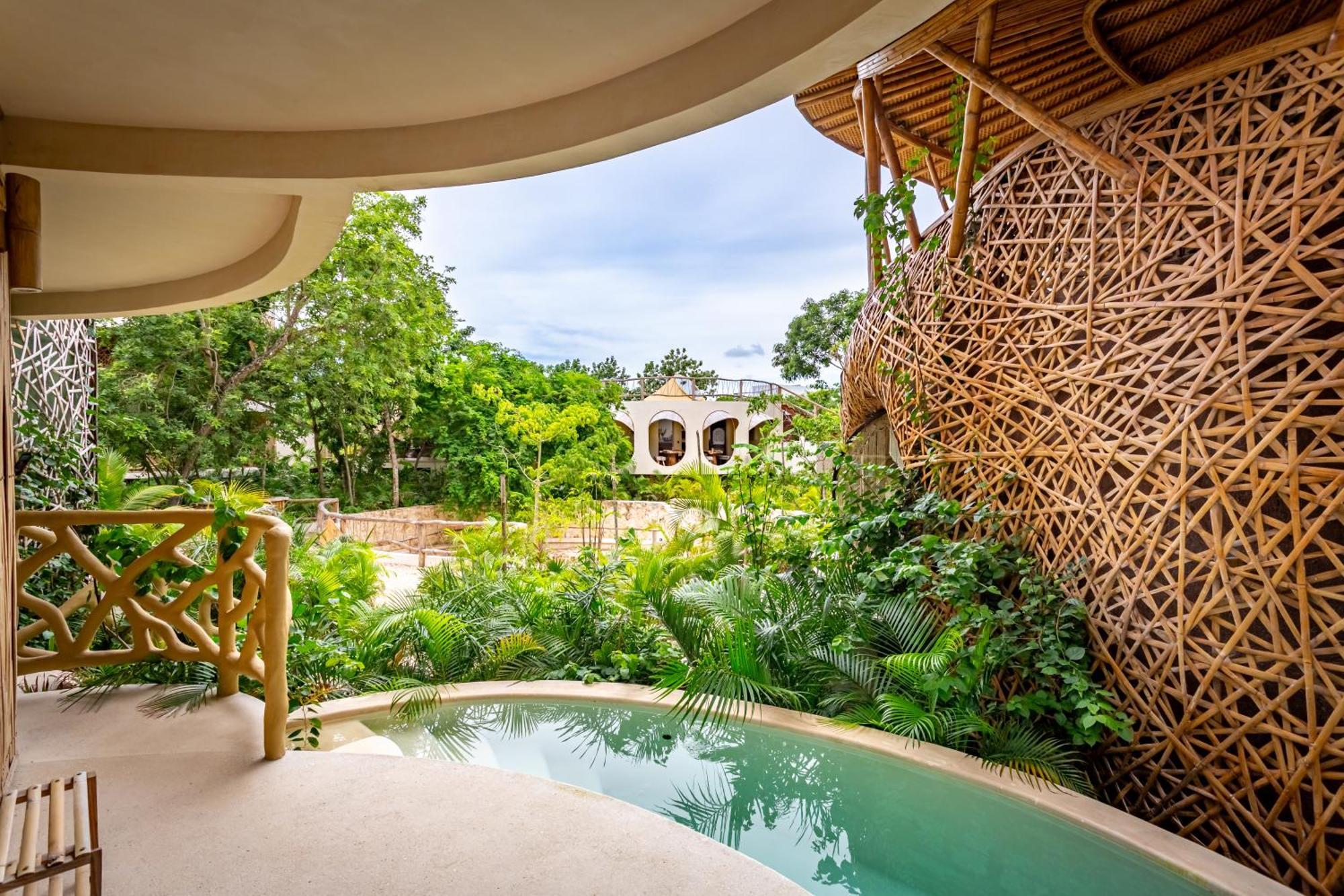 Estúdio Deluxe com Cama King-size e Piscina de Borda Infinita