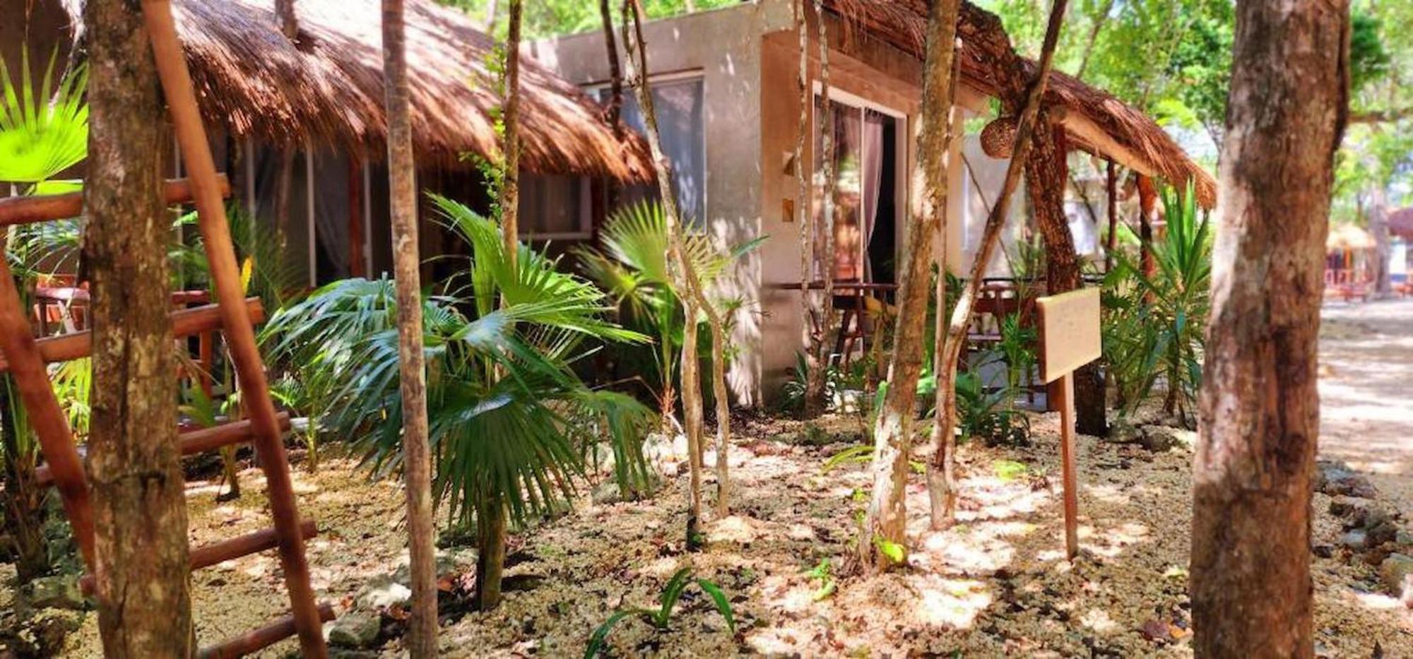Bungalow - Vue sur Jardin