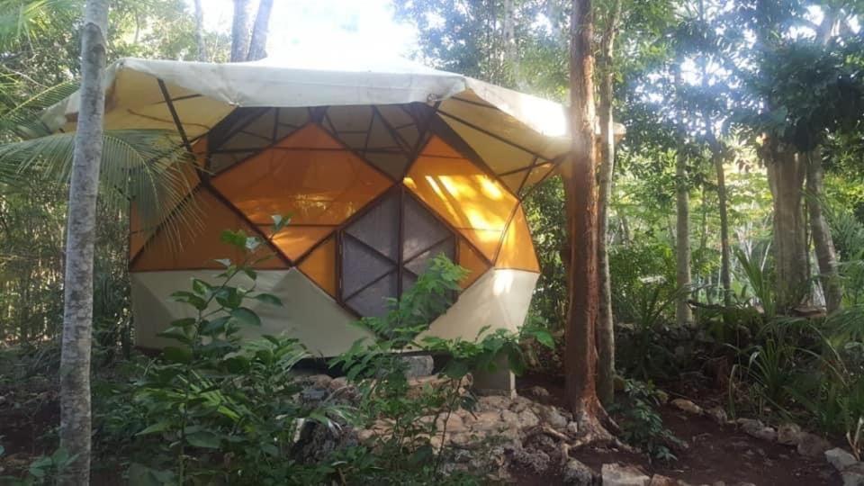 Bungalow met Uitzicht op de Tuin