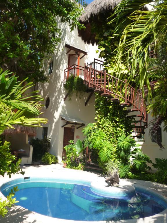 Maisonette,896930509:JPEG