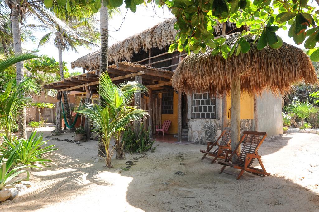 Jungle Room,442379985:JPEG