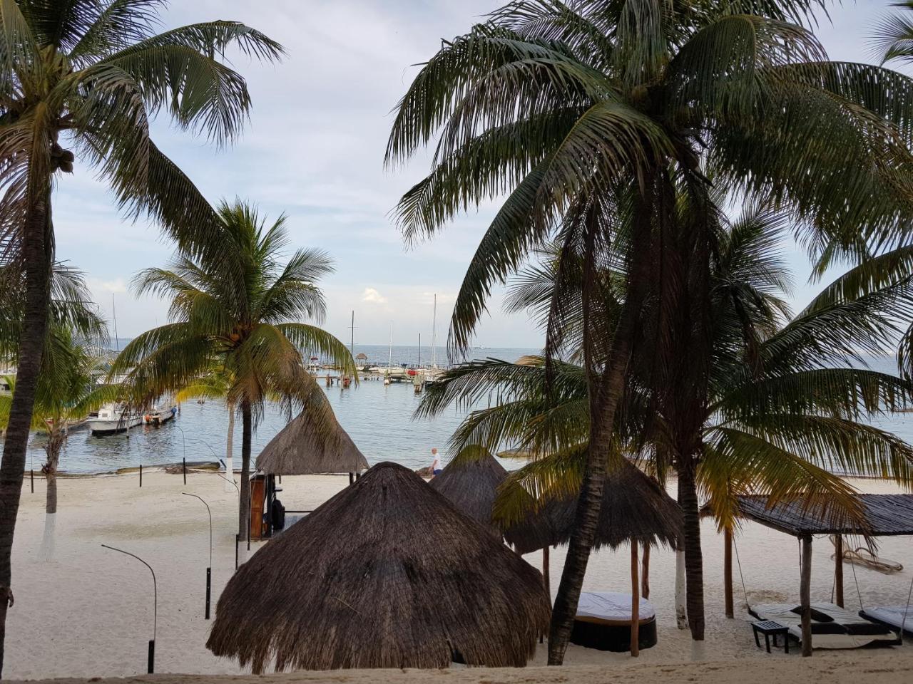 Studio Apartment with Sea View,695825640:JPEG
