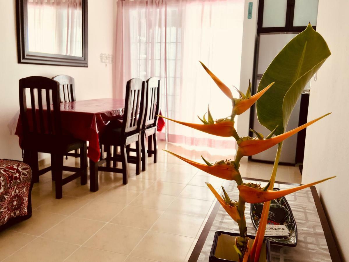 Maison 1 Chambre