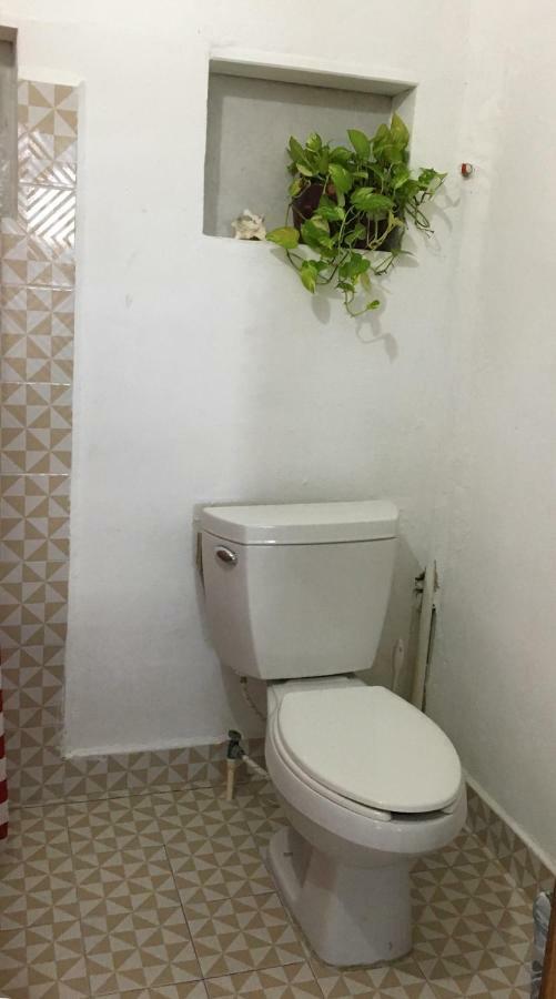 Cama de Solteiro em Dormitório com 10 Camas