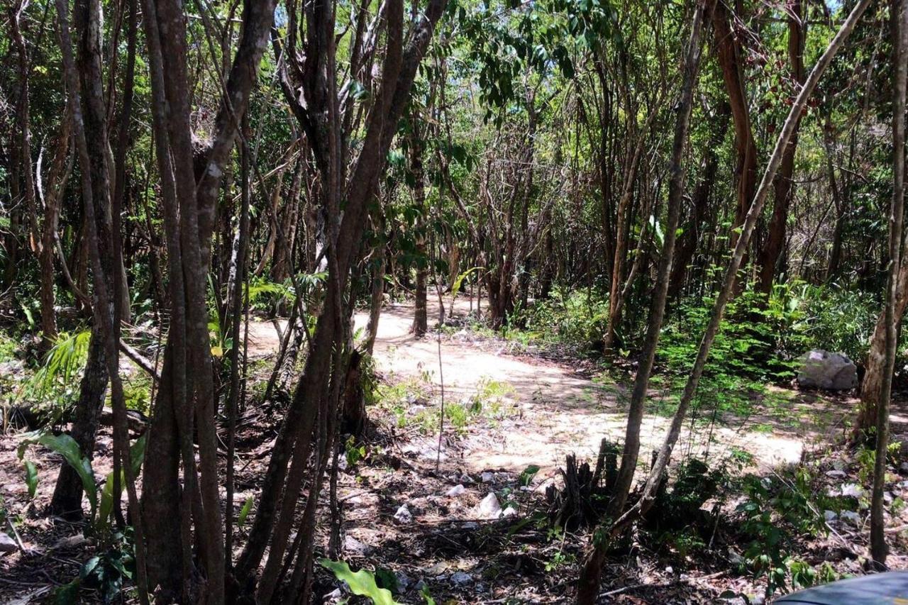 Bungalow with Fan,967982596:JPEG