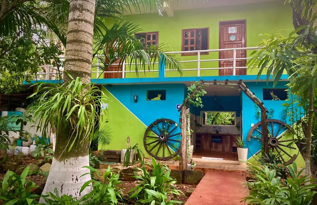 Yaxche Centro Hostal Y Camping-1