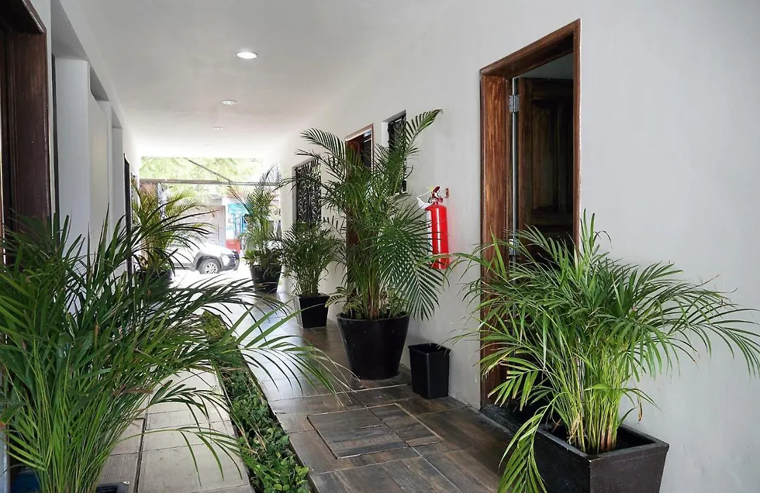 Red Panda Hostal-1