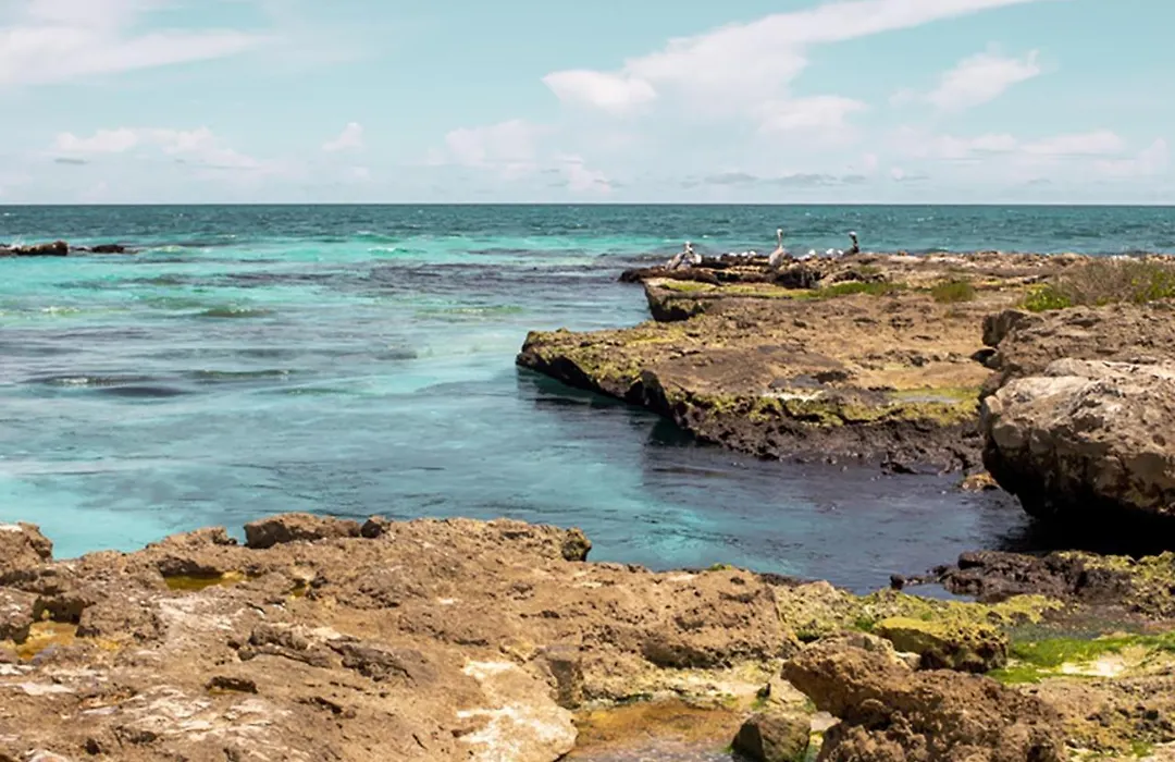 Kaanal Tulum-1