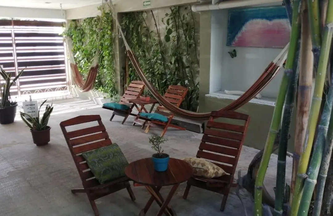 Hostal Jardin-1