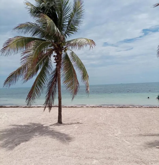 Corazon Del Pescador-1