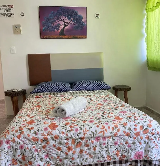 La Casa Del Arbol-1