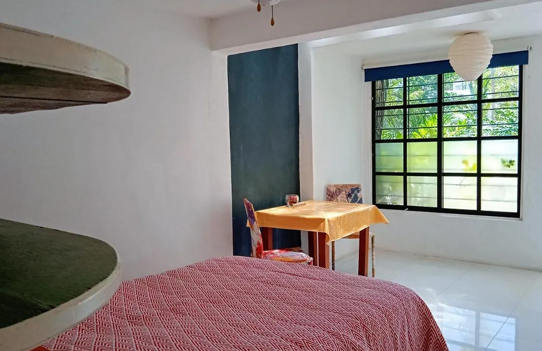 Room In Guest Room - Studio 6 In Downtown Cancun-1