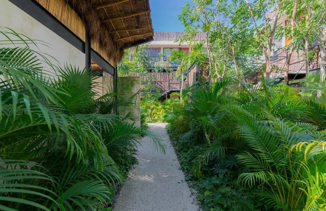 Elegant And Tropical Apartment In Private Gated Community In Aldea Zama-1