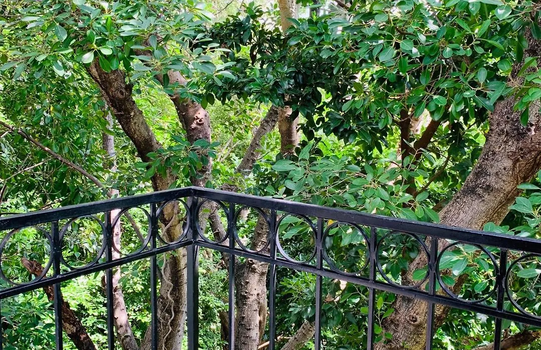 Villa Antilope-1