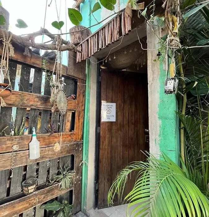 Selvatica Holbox-1