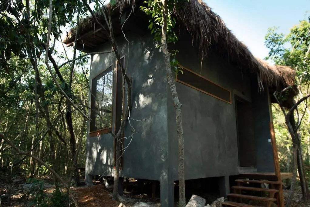 Ojo De Arbol, Boutique Cabin In The Real Jungle-1