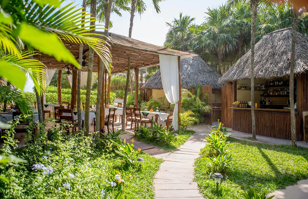 Arenablue Tulum-1