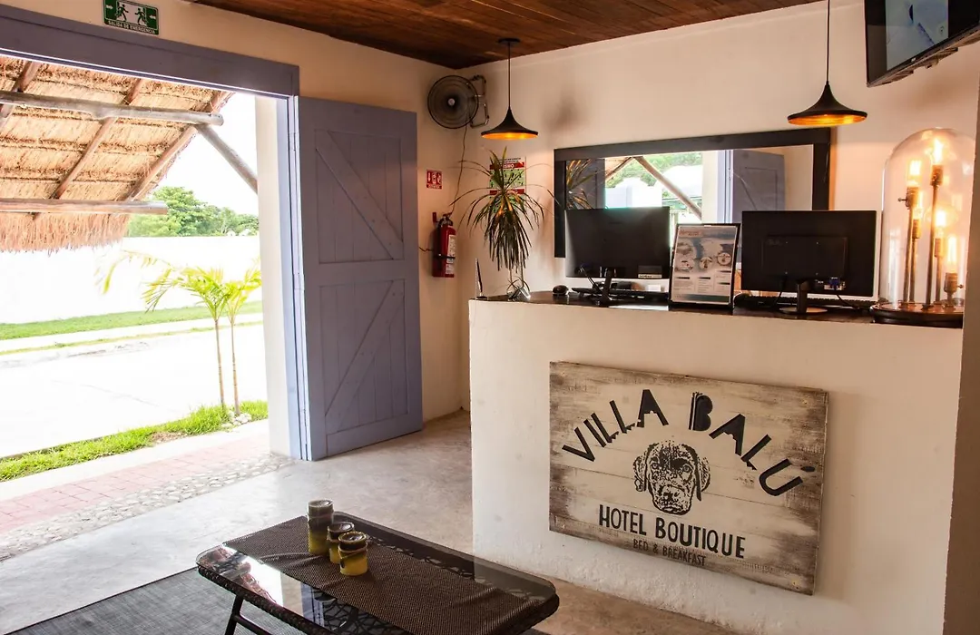 Hotel Villa Balu-1