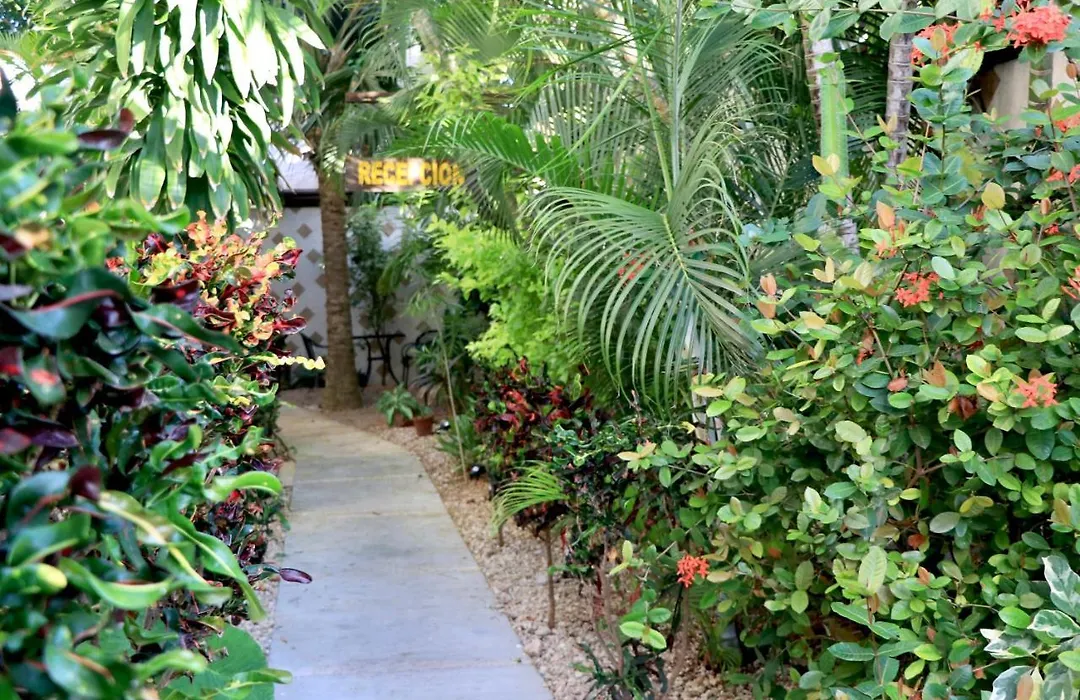 10 Avenue, 1 Min Walking To The 5 Av & Beach Suite 4-1