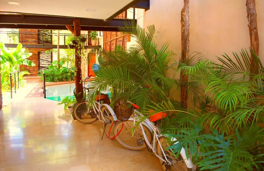 Maha Tulum - Luxury Apartment-1