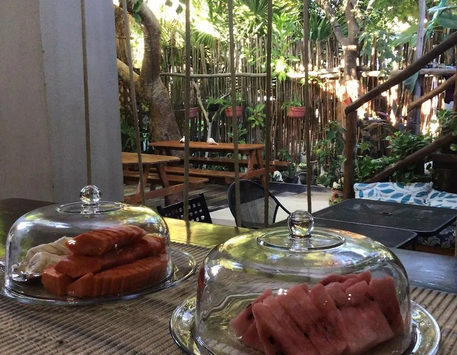 Hostal Holbox-1