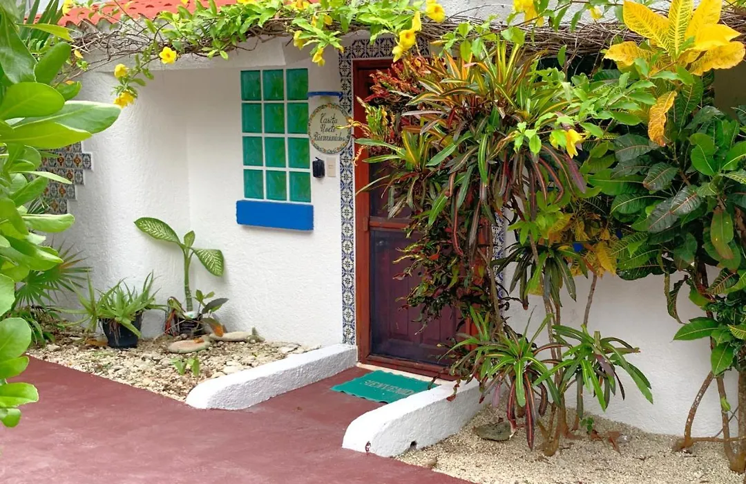 Beautiful & Cozy Studio In Akumal Paradise-Wifi, Ac-1