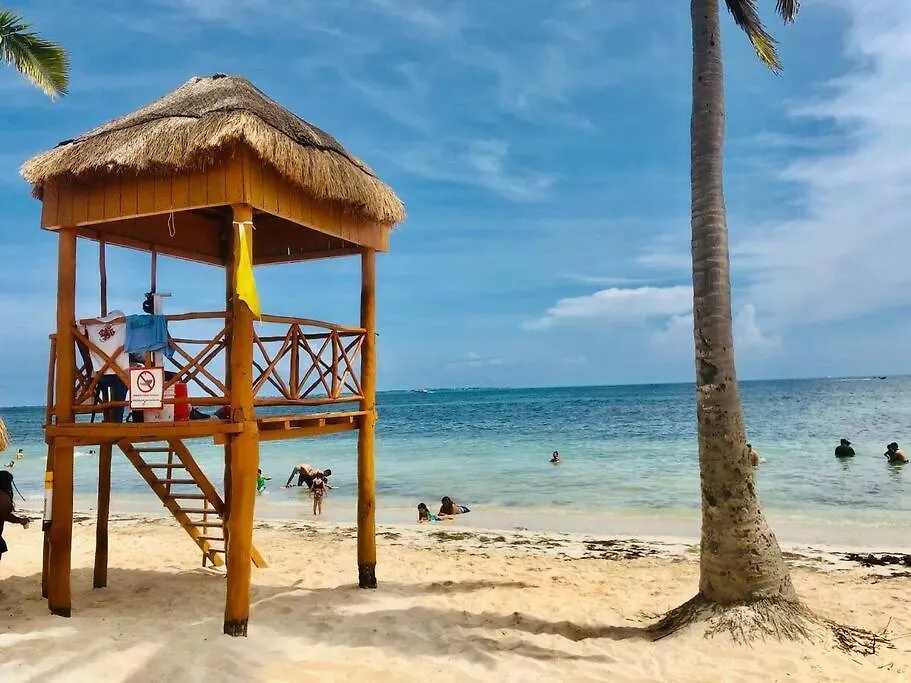 Turtle Suite, 5 Min Walking To The Beach Turtle Piso3-1