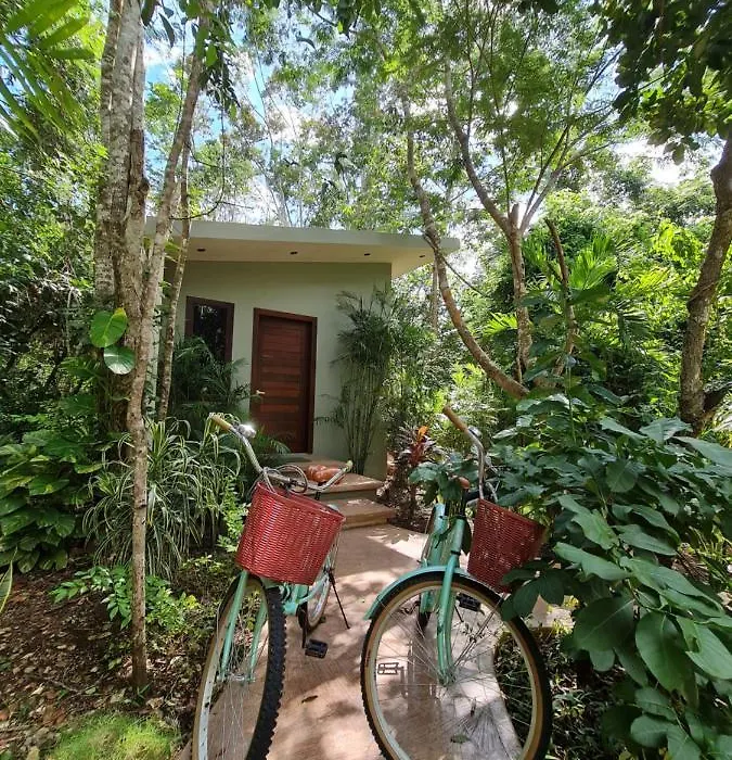 Secret Gardens Bacalar Suite 02 Con Alberca Y Bicicletas-1