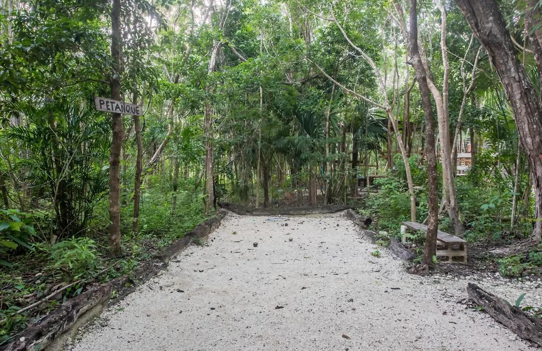 Casa Costal - Glamping Experience-1