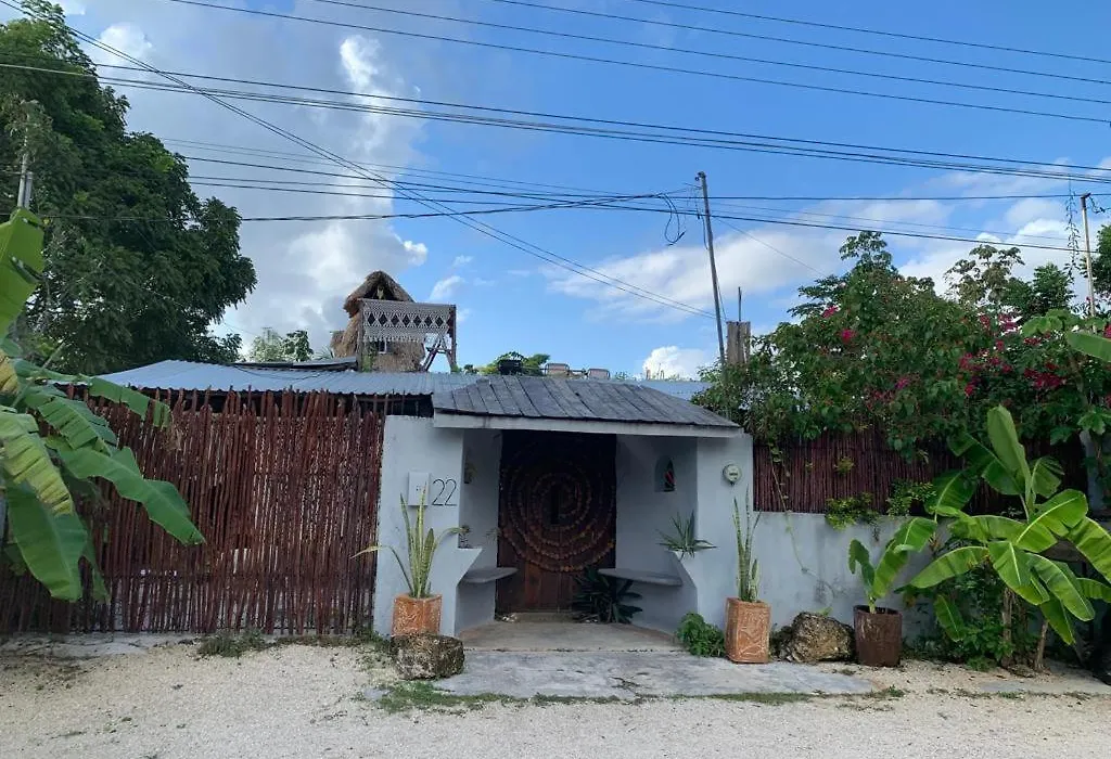 Junglabacalar/ Casa Colibri-1