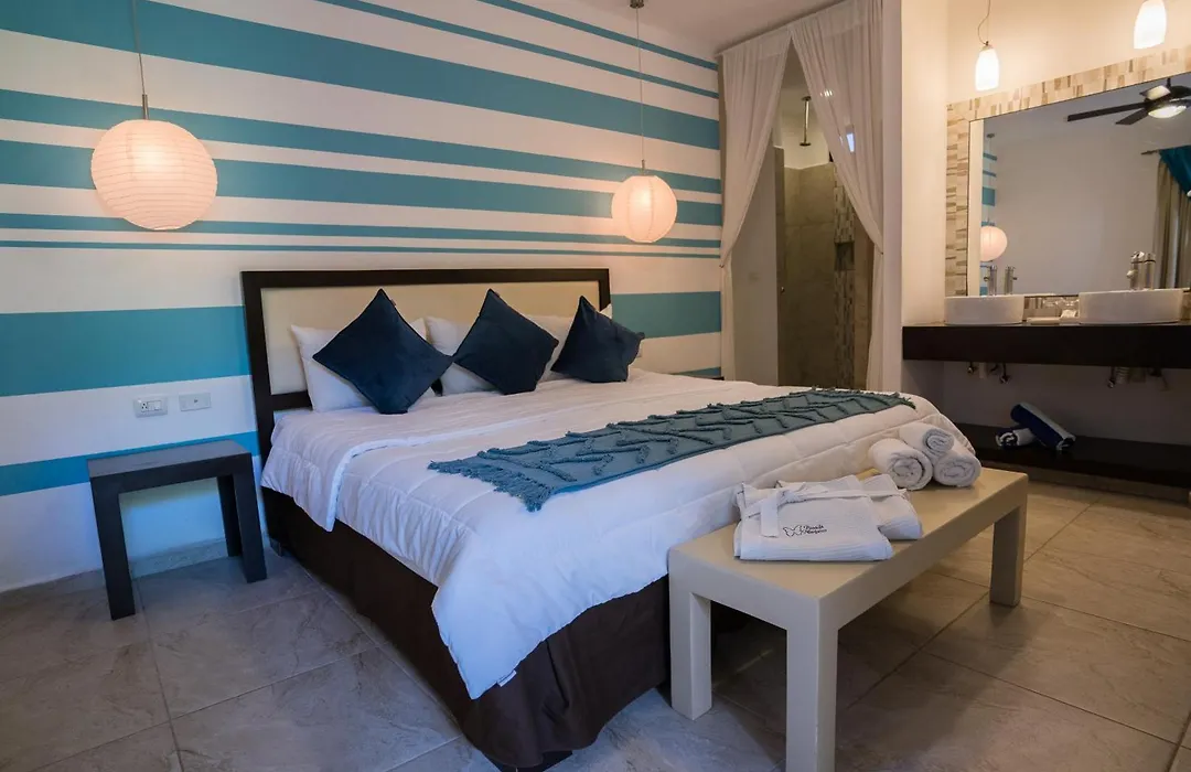 Posada Mariposa Boutique Hotel - 5Th Avenue-1