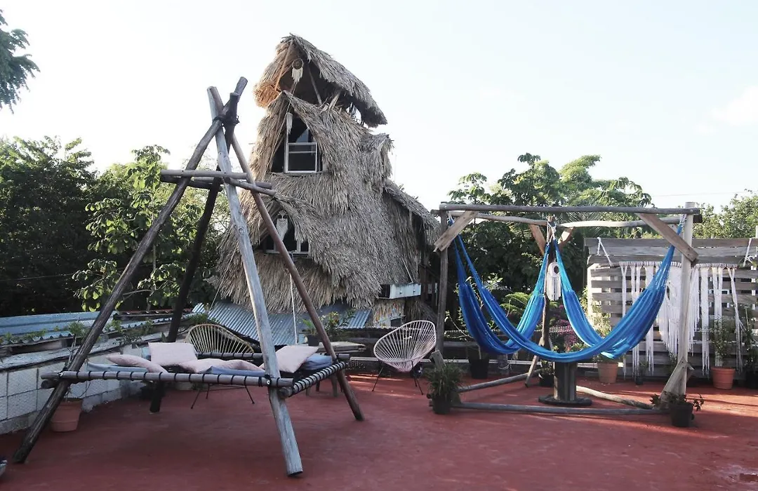 Jungla Bacalar/ Casa Jaguar-1
