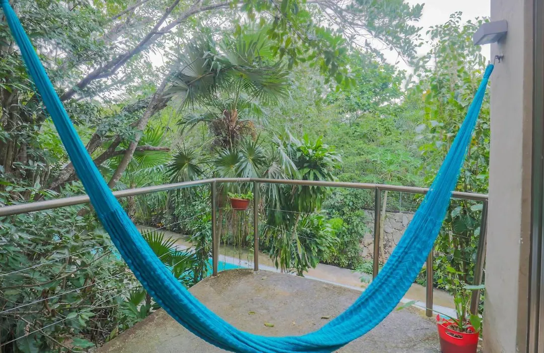 Guest House La Aldea Holistic Experience-1