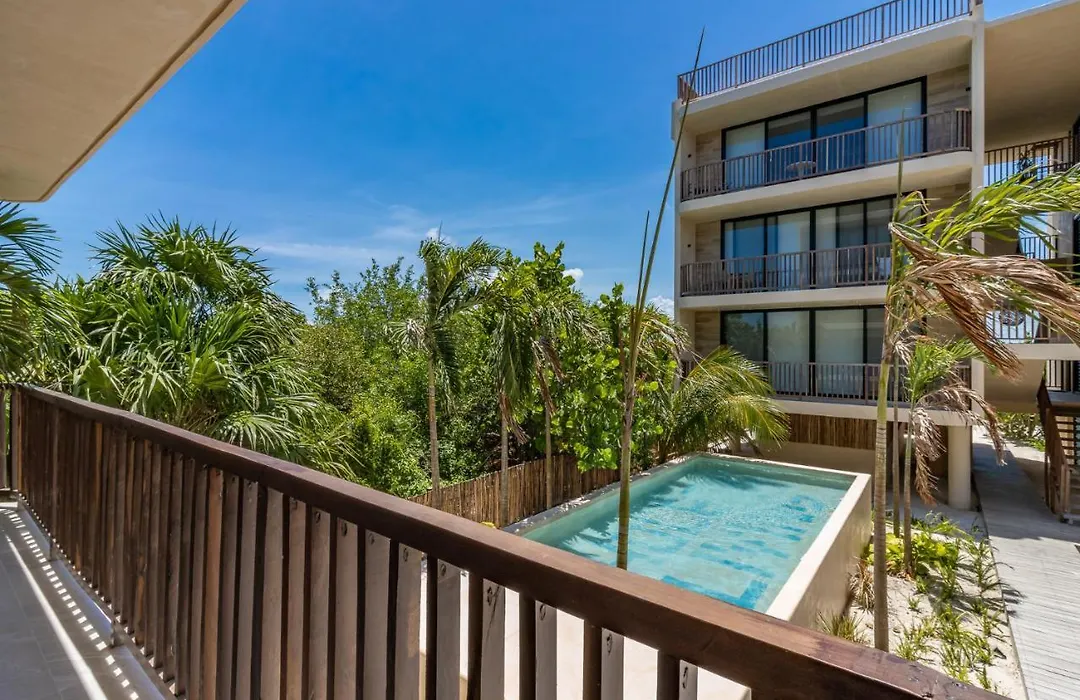 Beautiful Loft Steps From The Beach In Punta Cocos - D101-1