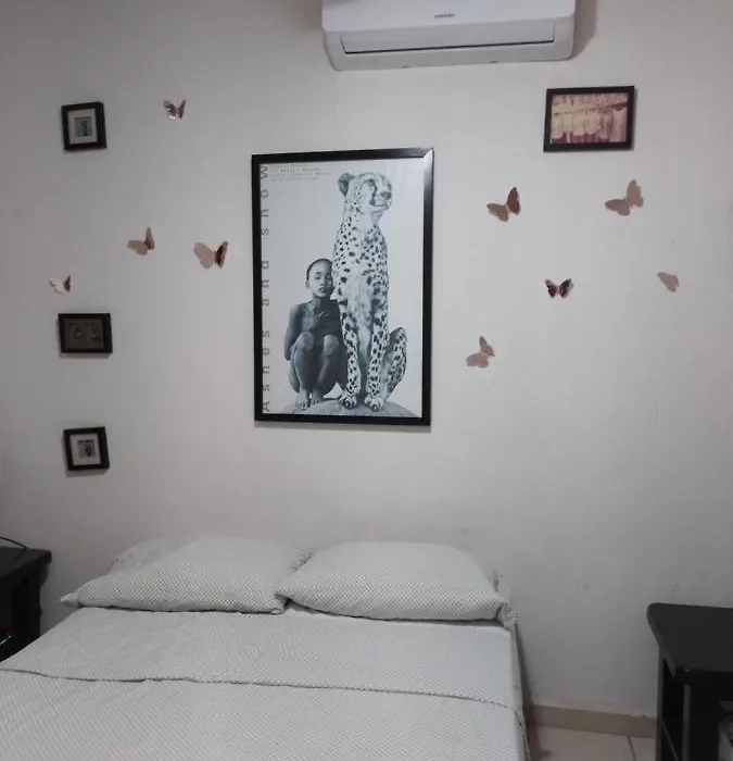Casa Mariposas-1