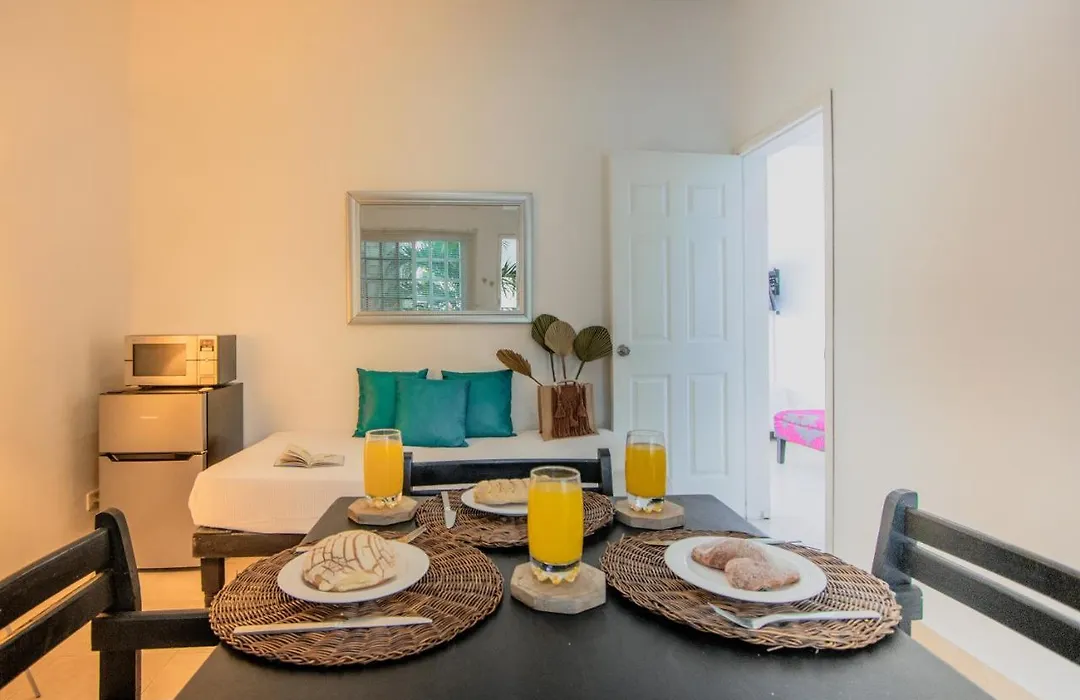 Nasim Condo Hotel Con Acceso Beach Club Gratis, Metros 5Th Avenida-1