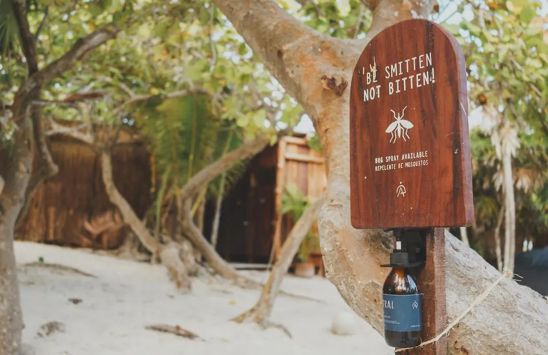 Astral Tulum-1