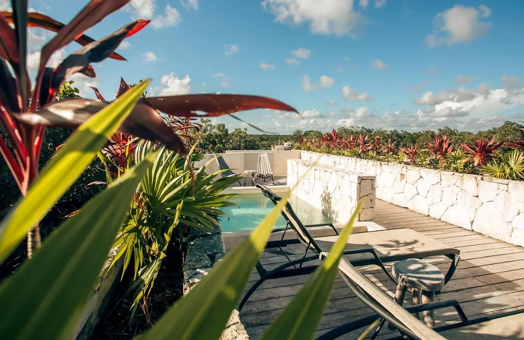 Vida Boho Apart 6 With Special Fee To Access Hotel Bardo-1