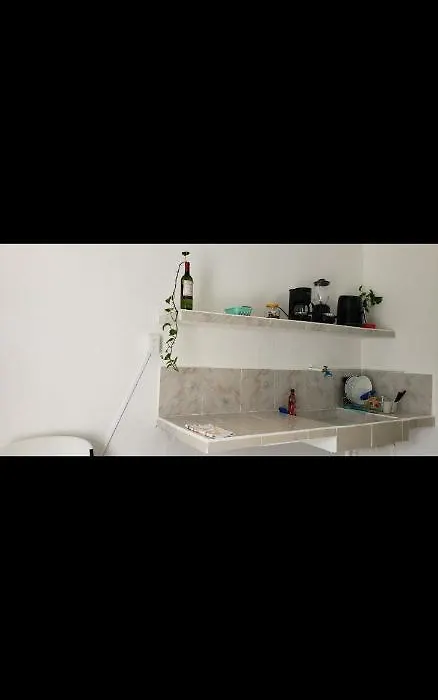 Cuarto Roots-1