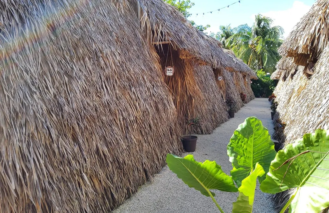 Hakuna Matata Glamping-1