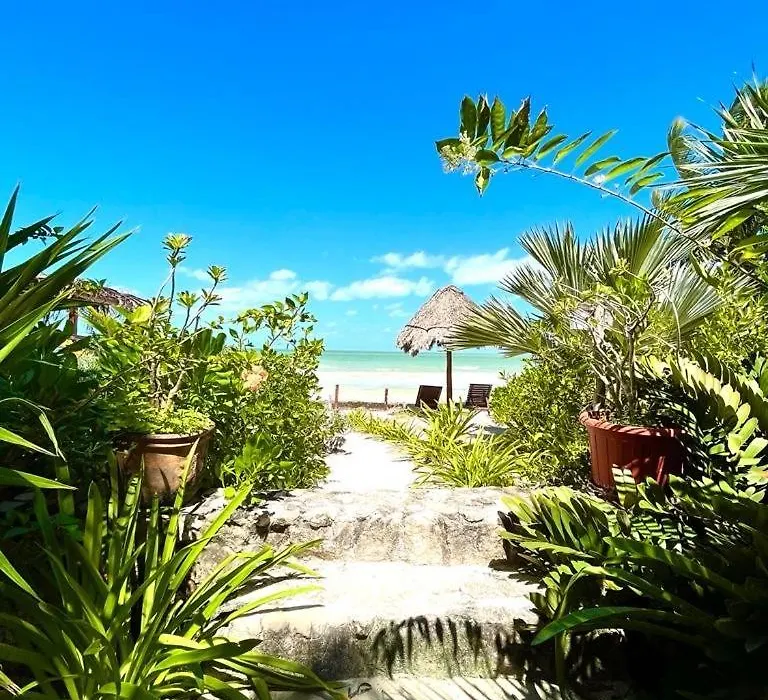 Casa Tom Tom - Beachfront Boutique Hotel (Adults Only)-1