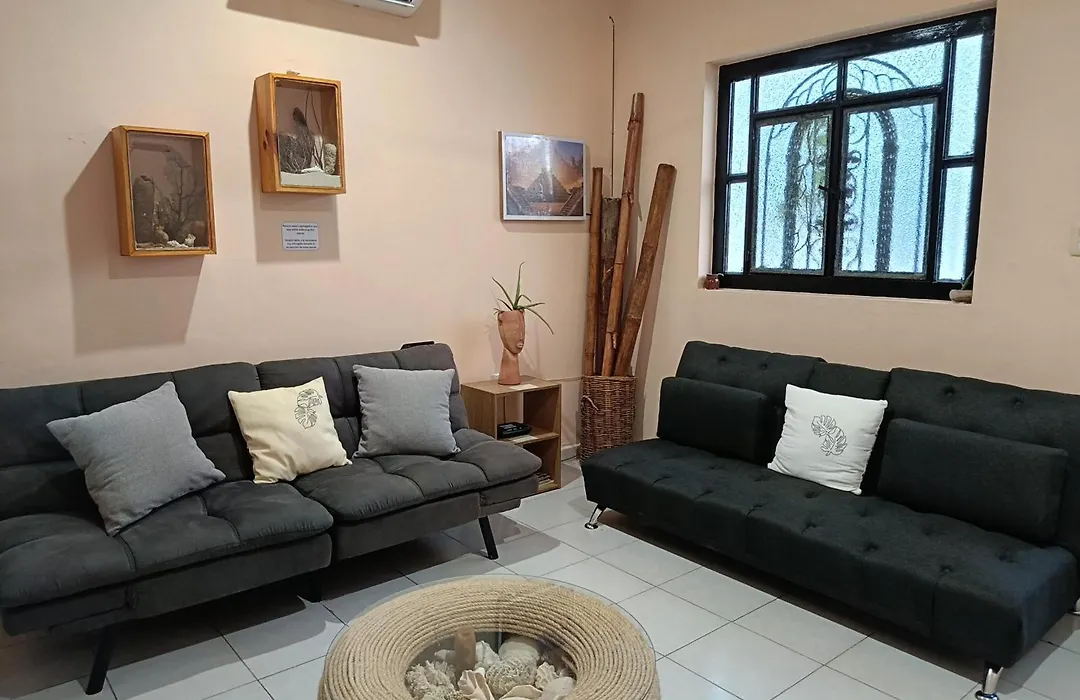Downtown Apartment One Block From The Ocean - Casa Aluxes-1