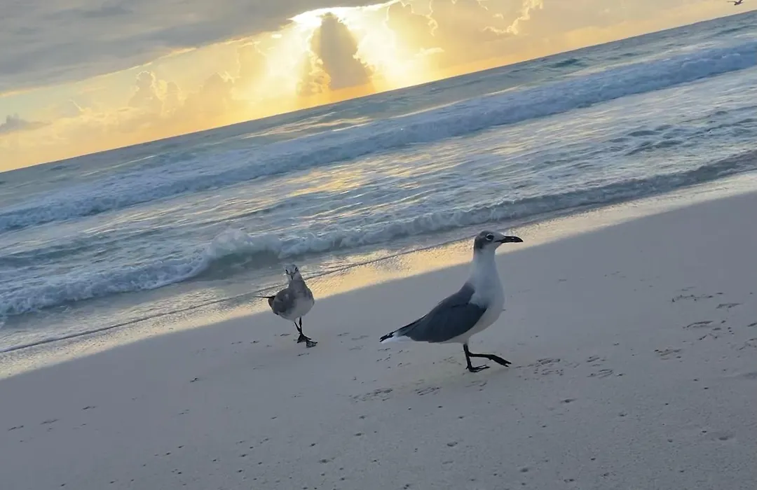 Suite Brisas Cancun-1
