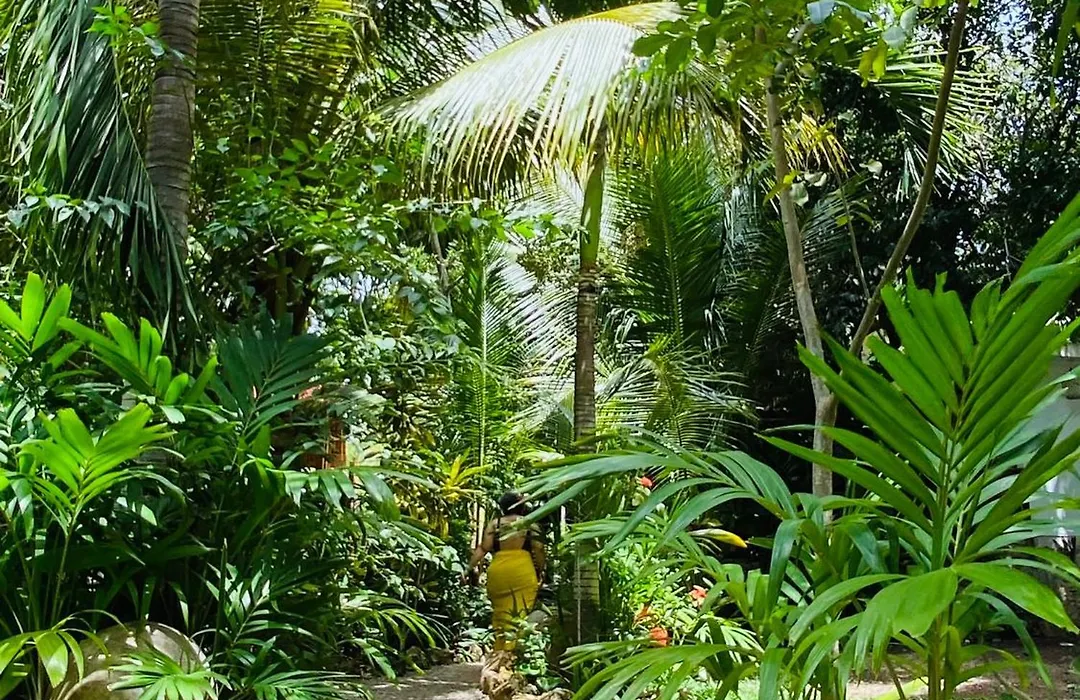 Cabanas Hostal & Camping Magic Bacalar-1