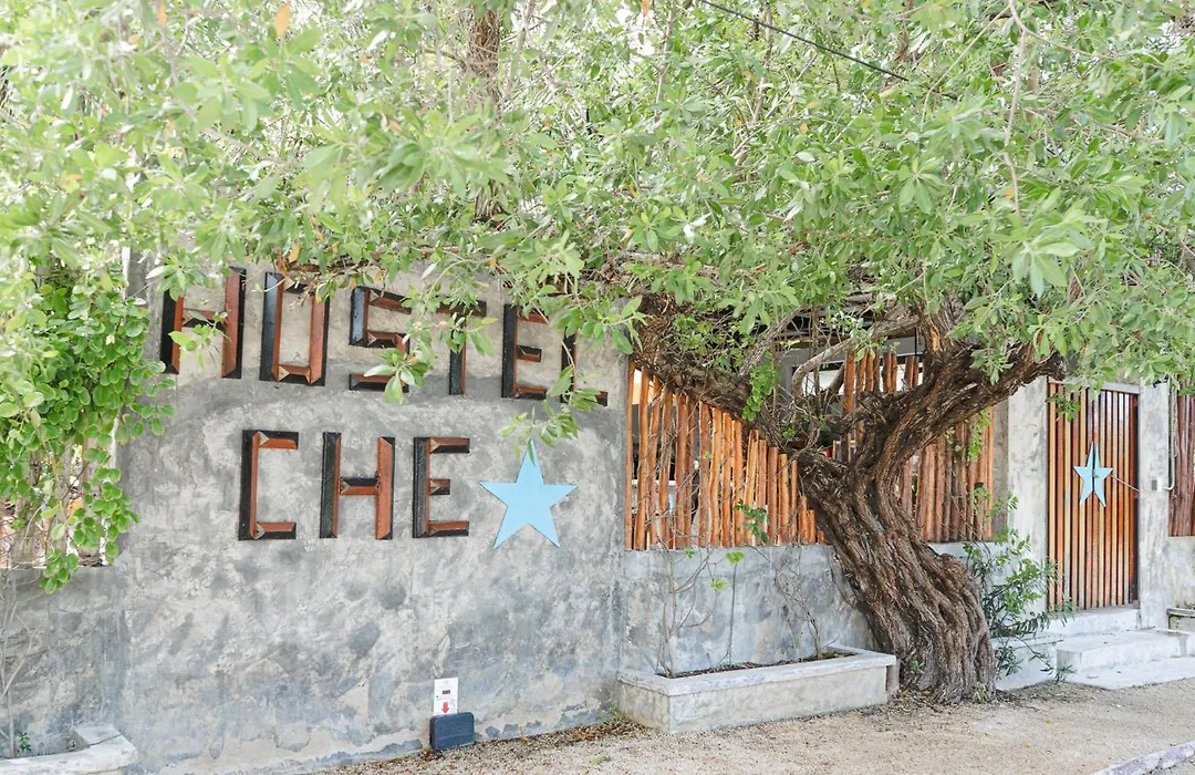 Che Holbox Hostel & Bar Adults Only-1