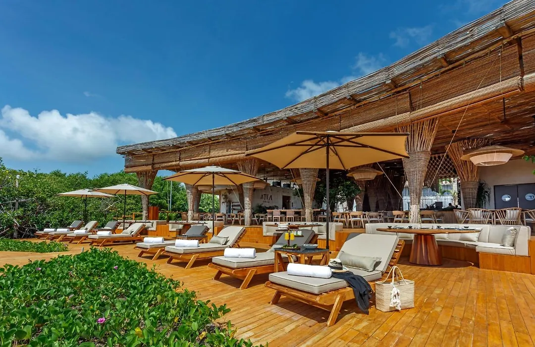 Hotel Shibari - Restaurant & Cenote Club-1