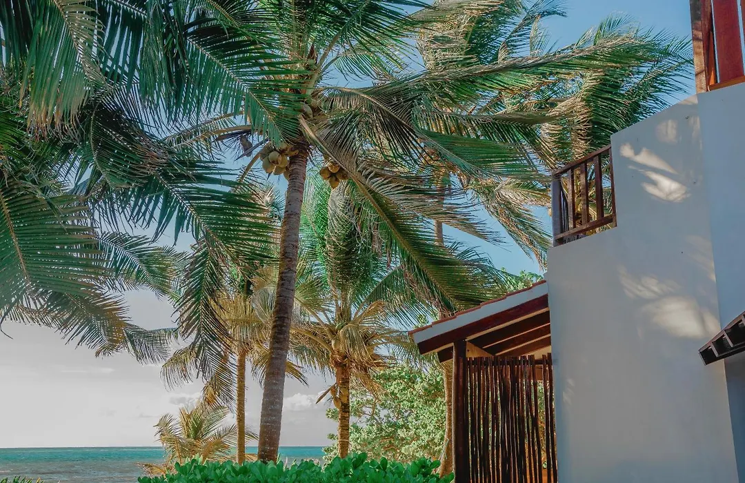 Casa Colibrí Tankah-1